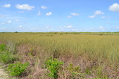 Enlarge photo 62