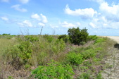 Enlarge photo 66