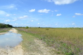 Enlarge photo 67