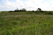 Enlarge photo 73
