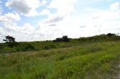 Enlarge photo 75