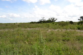 Enlarge photo 77