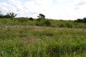 Enlarge photo 78