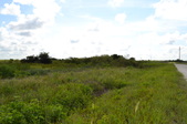 Enlarge photo 80