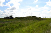 Enlarge photo 81