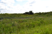 Enlarge photo 82