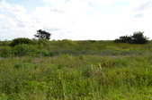 Enlarge photo 83