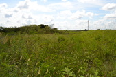 Enlarge photo 84