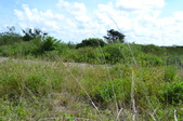 Enlarge photo 86