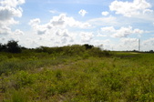 Enlarge photo 88