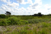 Enlarge photo 89