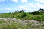 Enlarge photo 90