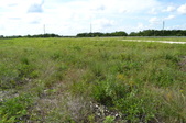 Enlarge photo 92