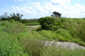 Enlarge photo 93