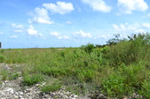 Enlarge photo 94