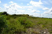 Enlarge photo 96