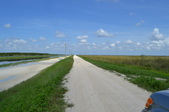 Enlarge photo 99