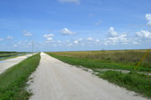 Enlarge photo 100