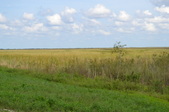 Enlarge photo 105