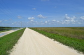 Enlarge photo 106