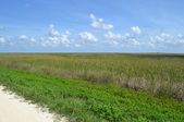 Enlarge photo 107