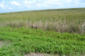 Enlarge photo 109