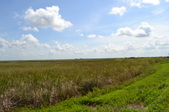 Enlarge photo 110