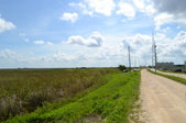 Enlarge photo 111