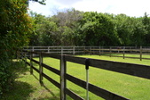 Enlarge photo 35