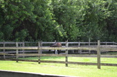 Enlarge photo 37