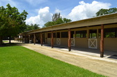 Enlarge photo 41