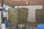 Enlarge photo 48