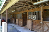 Enlarge photo 50