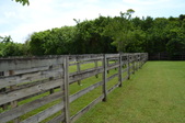 Enlarge photo 53