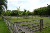 Enlarge photo 55