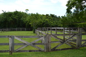 Enlarge photo 57