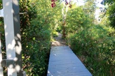 Enlarge photo 57