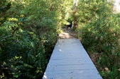 Enlarge photo 38