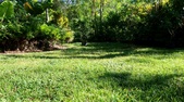 Enlarge photo 59