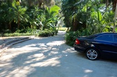 Enlarge photo 64