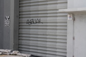 Enlarge photo 63
