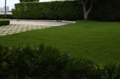 Enlarge photo 159