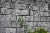 Enlarge photo 168