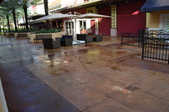 Enlarge photo 59