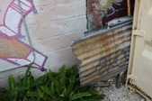 Enlarge photo 63