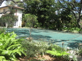 Enlarge photo 3