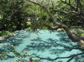 Enlarge photo 33
