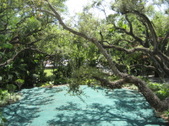 Enlarge photo 35
