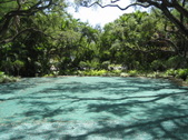 Enlarge photo 54