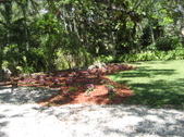 Enlarge photo 57